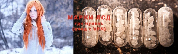 прущие грибы Бронницы
