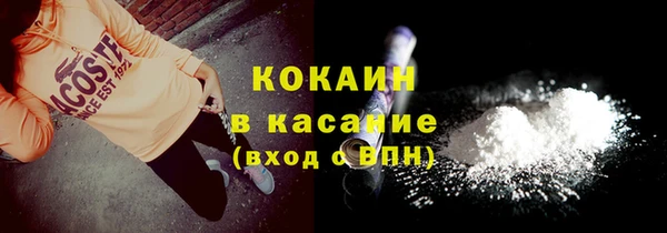 прущие грибы Бугульма