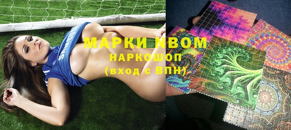 прущие грибы Бугульма