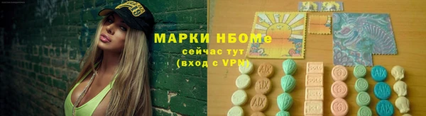 прущие грибы Бронницы