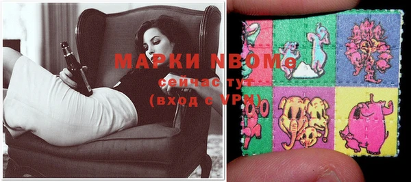 прущие грибы Бугульма