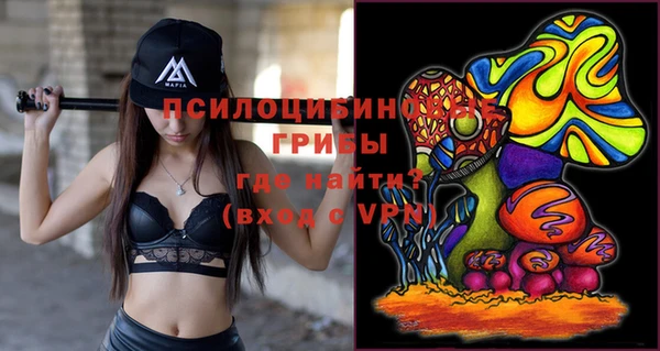 прущие грибы Бугульма