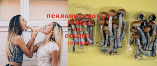 прущие грибы Бугульма