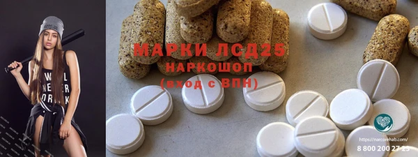 прущие грибы Бронницы