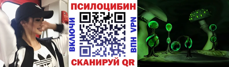 Купить закладки  Новошахтинск  Псилоцибиновые грибы Psilocybine cubensis 
